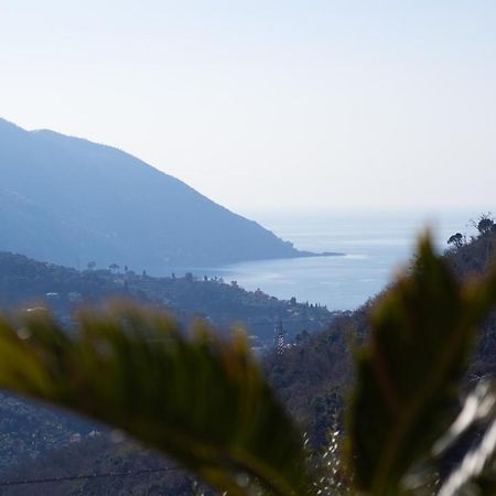 Villa Le Macine Molino Nuovo  Exteriér fotografie