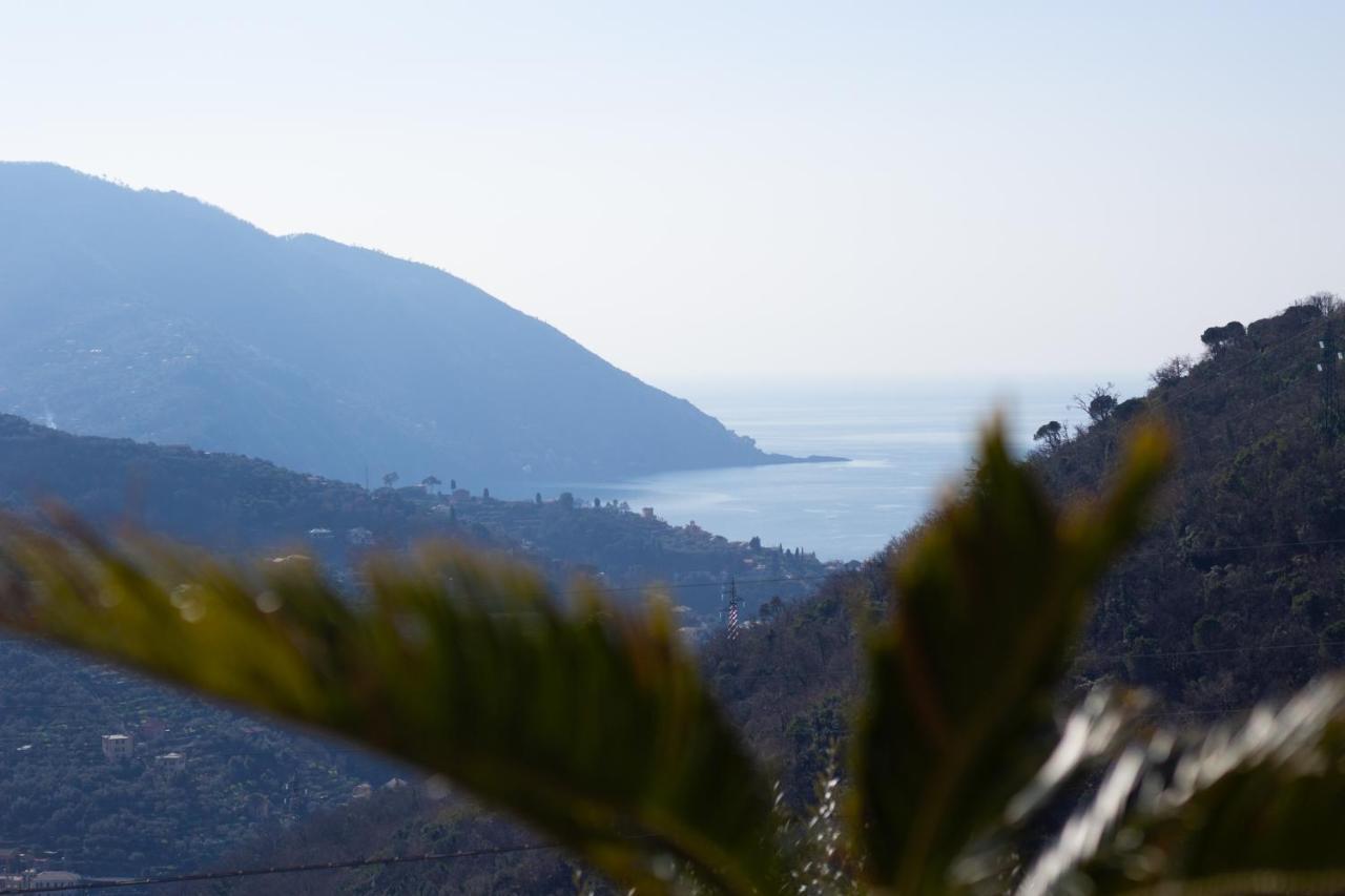 Villa Le Macine Molino Nuovo  Exteriér fotografie