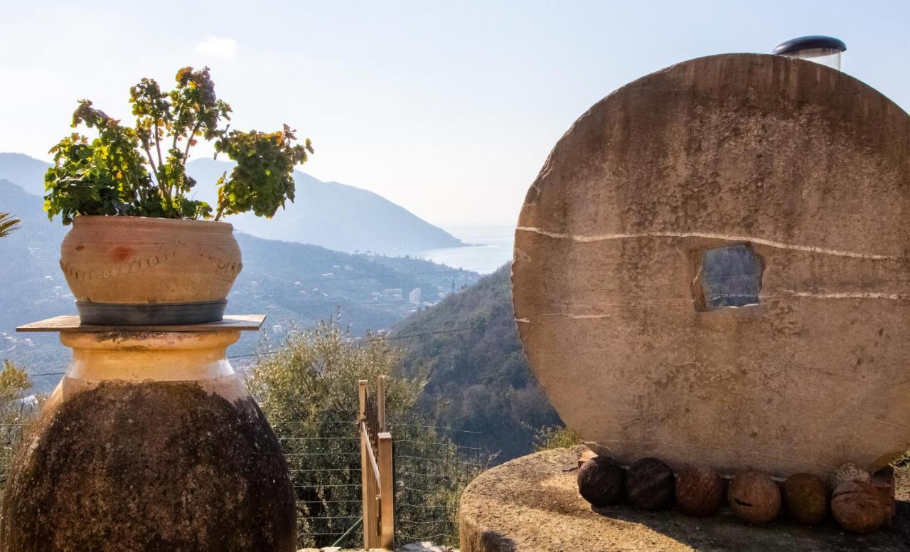 Villa Le Macine Molino Nuovo  Exteriér fotografie